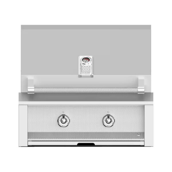 Stainless steel outdoor grill with dual burners and built-in thermometer for precise cooking. Ideal for barbecues and outdoor entertaining.