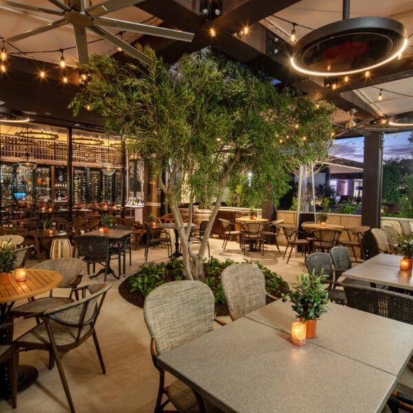 Outdoor dining area featuring stylish seating, ambient lighting, and a central tree, creating a cozy atmosphere for guests.