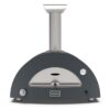 Compact outdoor pizza oven in dark gray with stainless steel chimney and thermometer, ideal for home cooking.