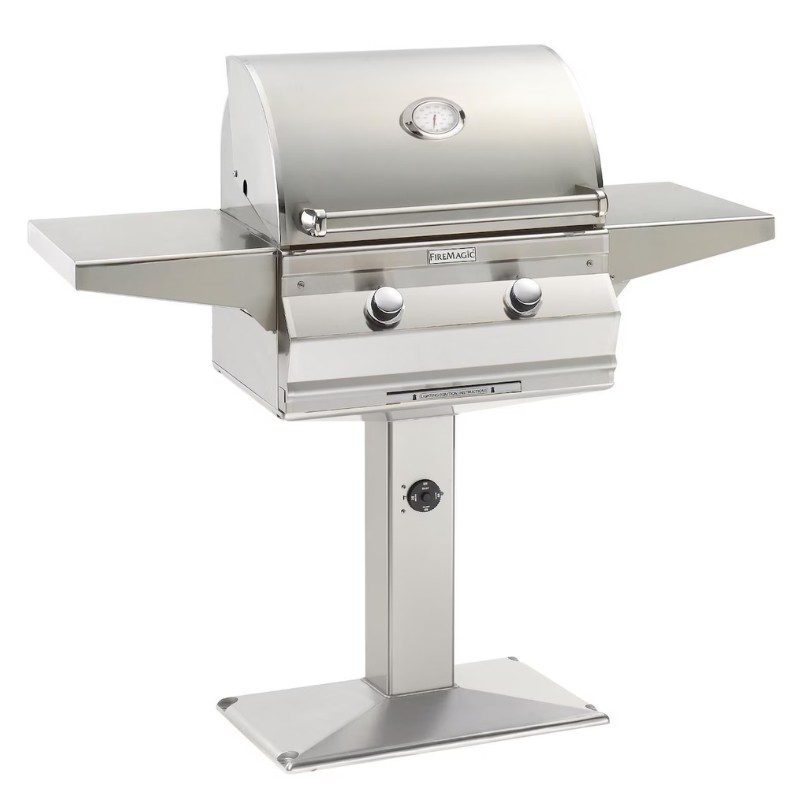Stainless steel gas grill with two burners, side shelves, and a temperature gauge, ideal for outdoor cooking.